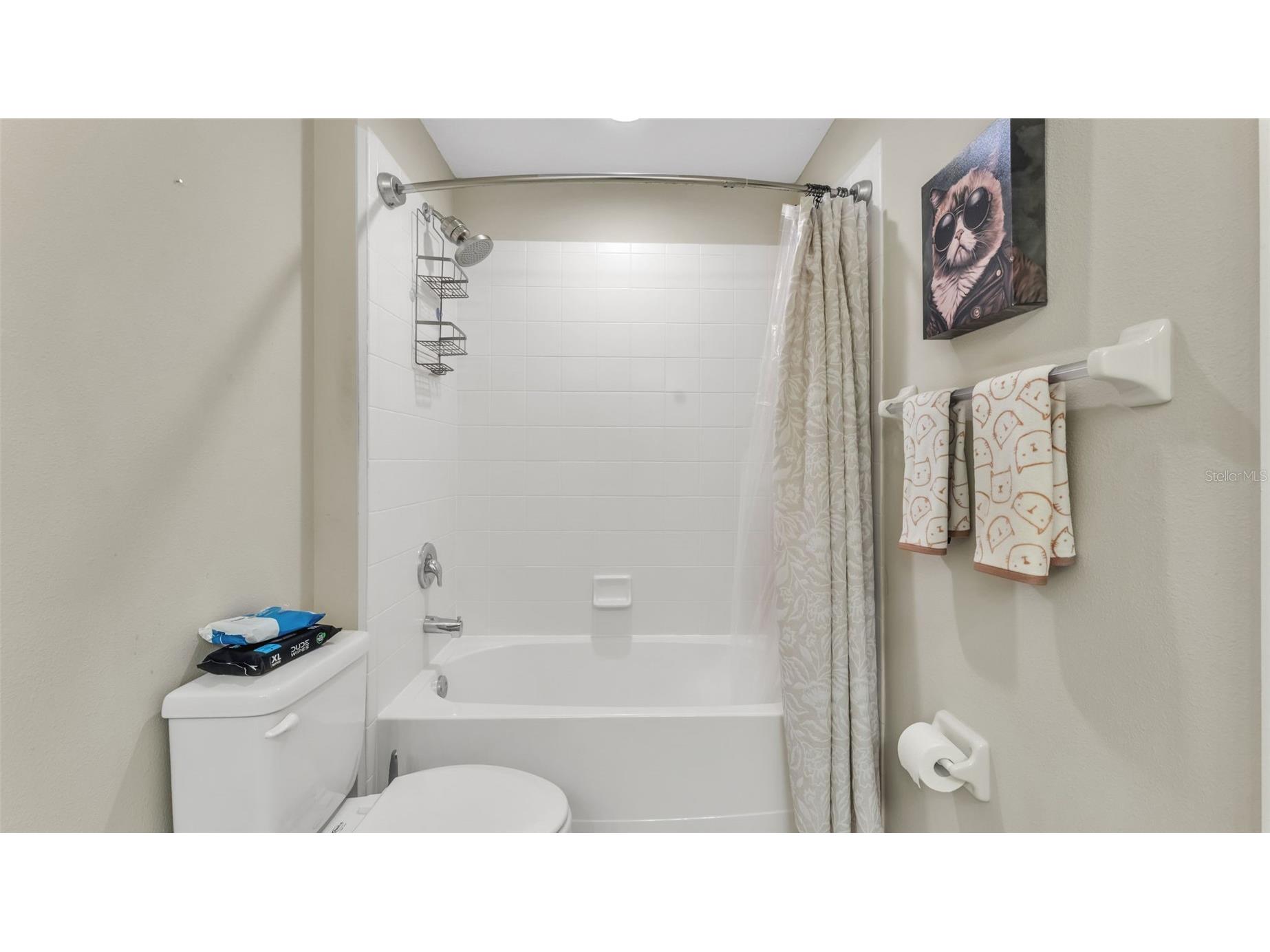 1826 Altavista Circle Lakeland FL 33810 L4960897 image38