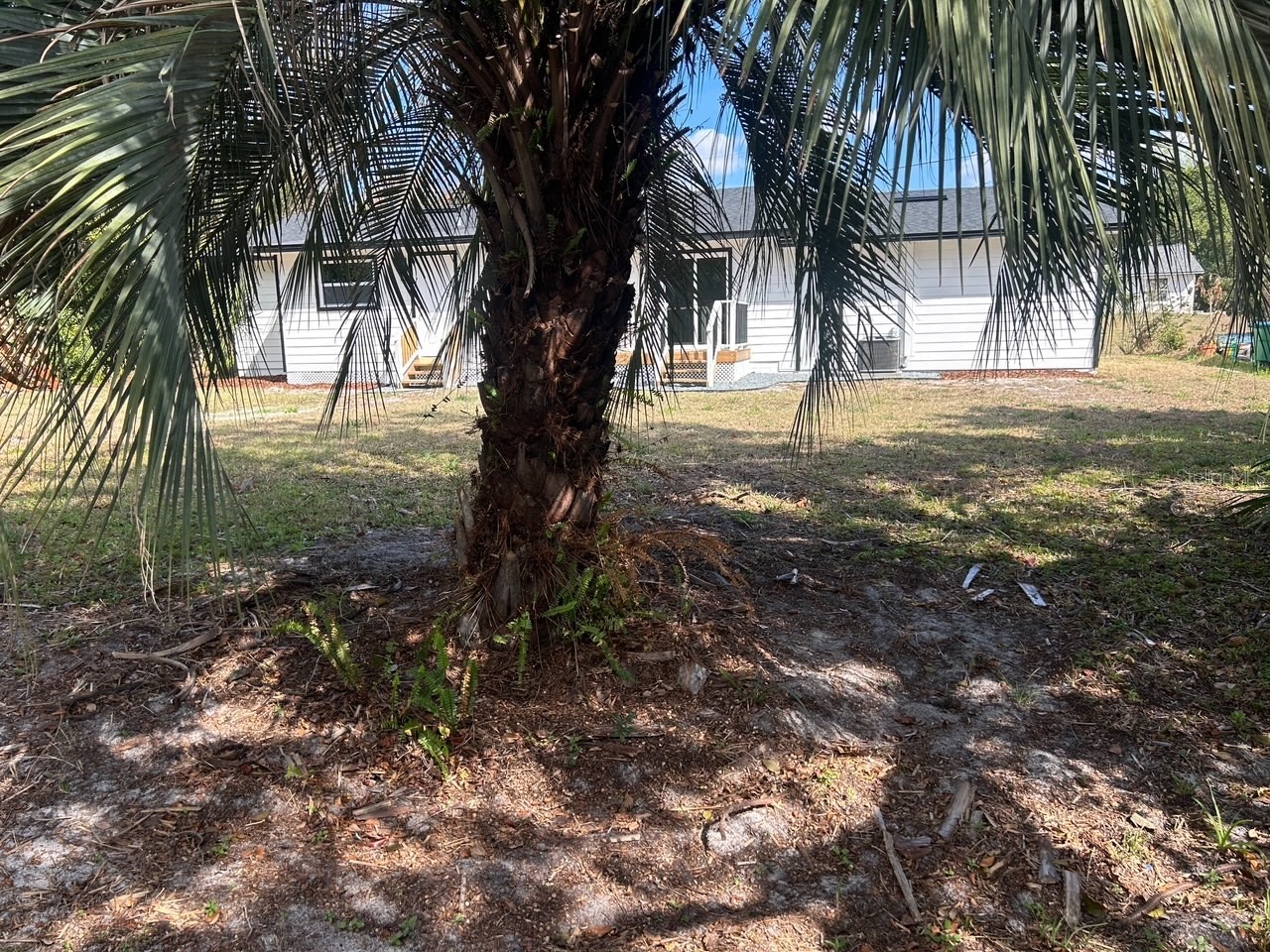 1826 Belspring Avenue Deltona FL 32725 V4947854 image18