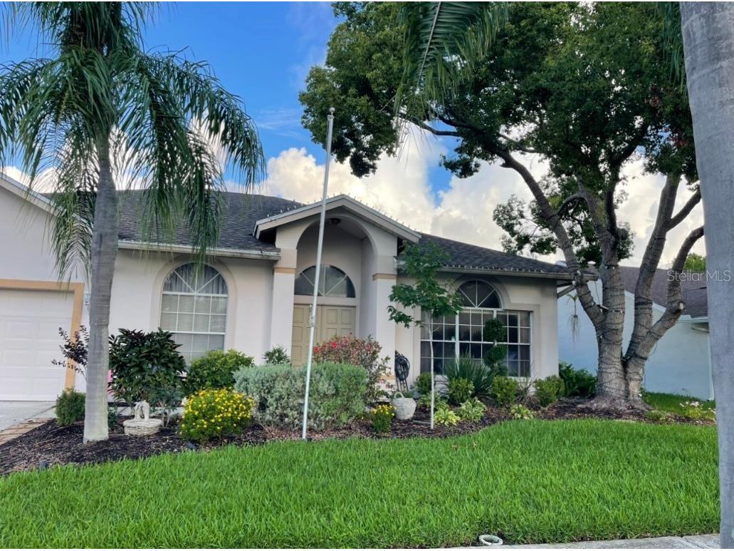 1826 Eagle Ridge Boulevard Palm Harbor FL 34685 U8251168 image1