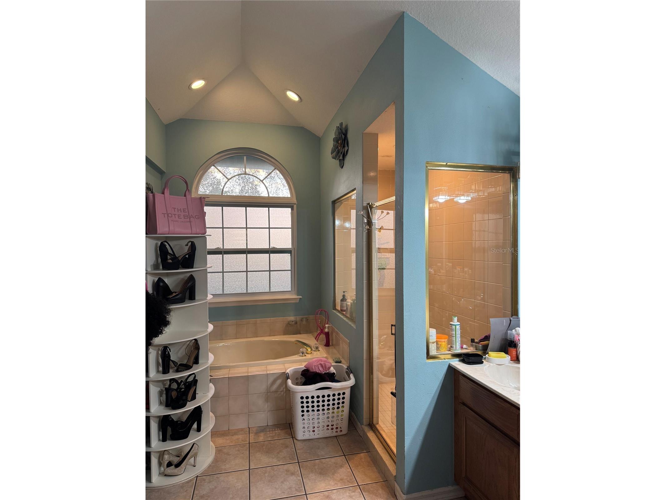 1826 Imperial Palm Drive Apopka FL 32712 O6384944 image29