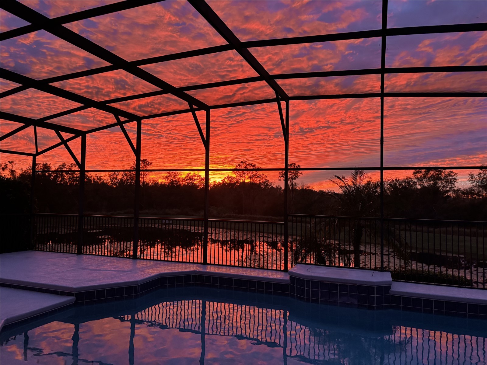 1826 Jean Marie Drive Winter Garden FL 34787 - Retention pond O6375791 image3