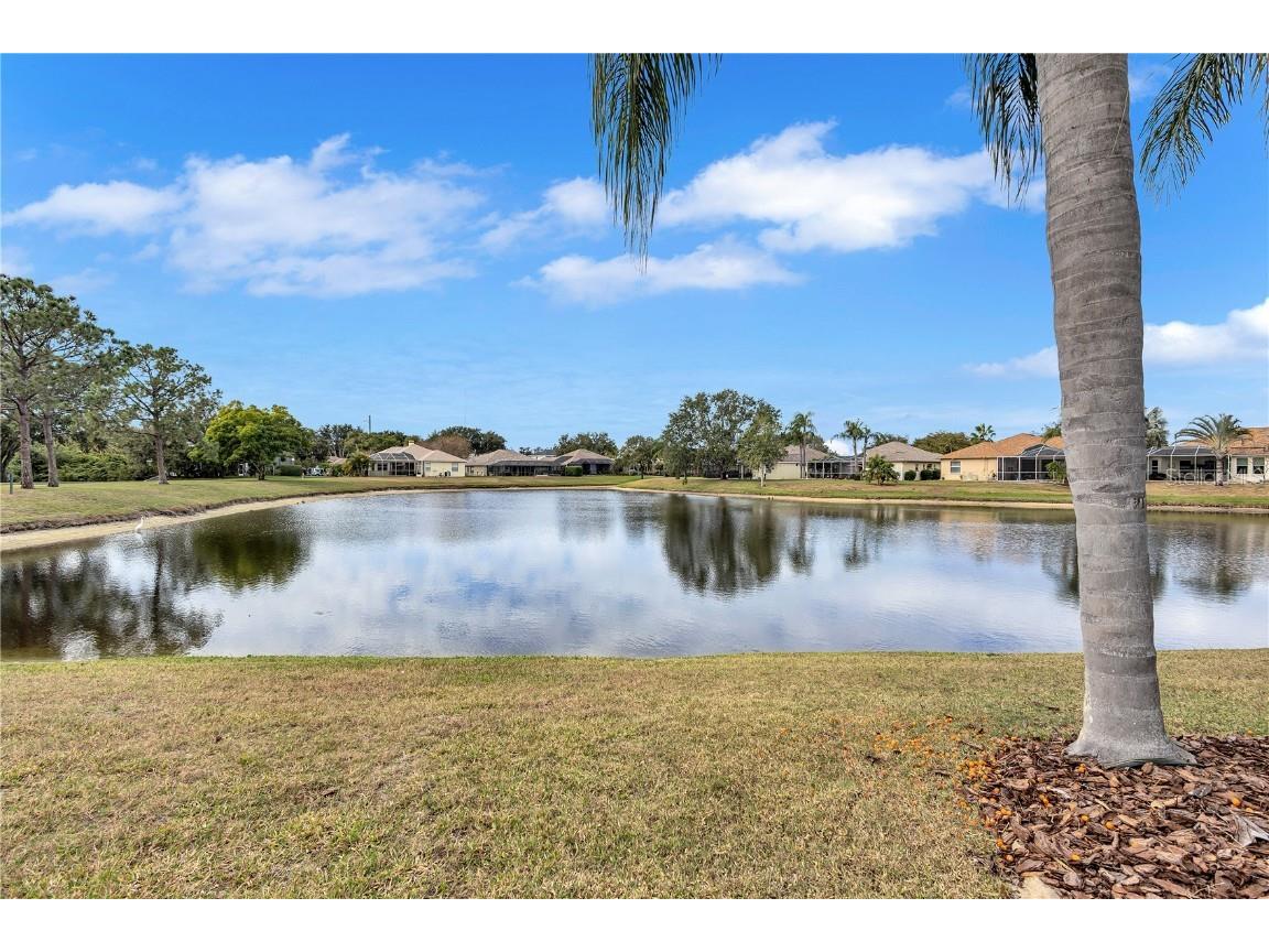 1826 River Watch Boulevard Tarpon Springs FL 34689 - ANCLOTE RIVER TB8453110 image38