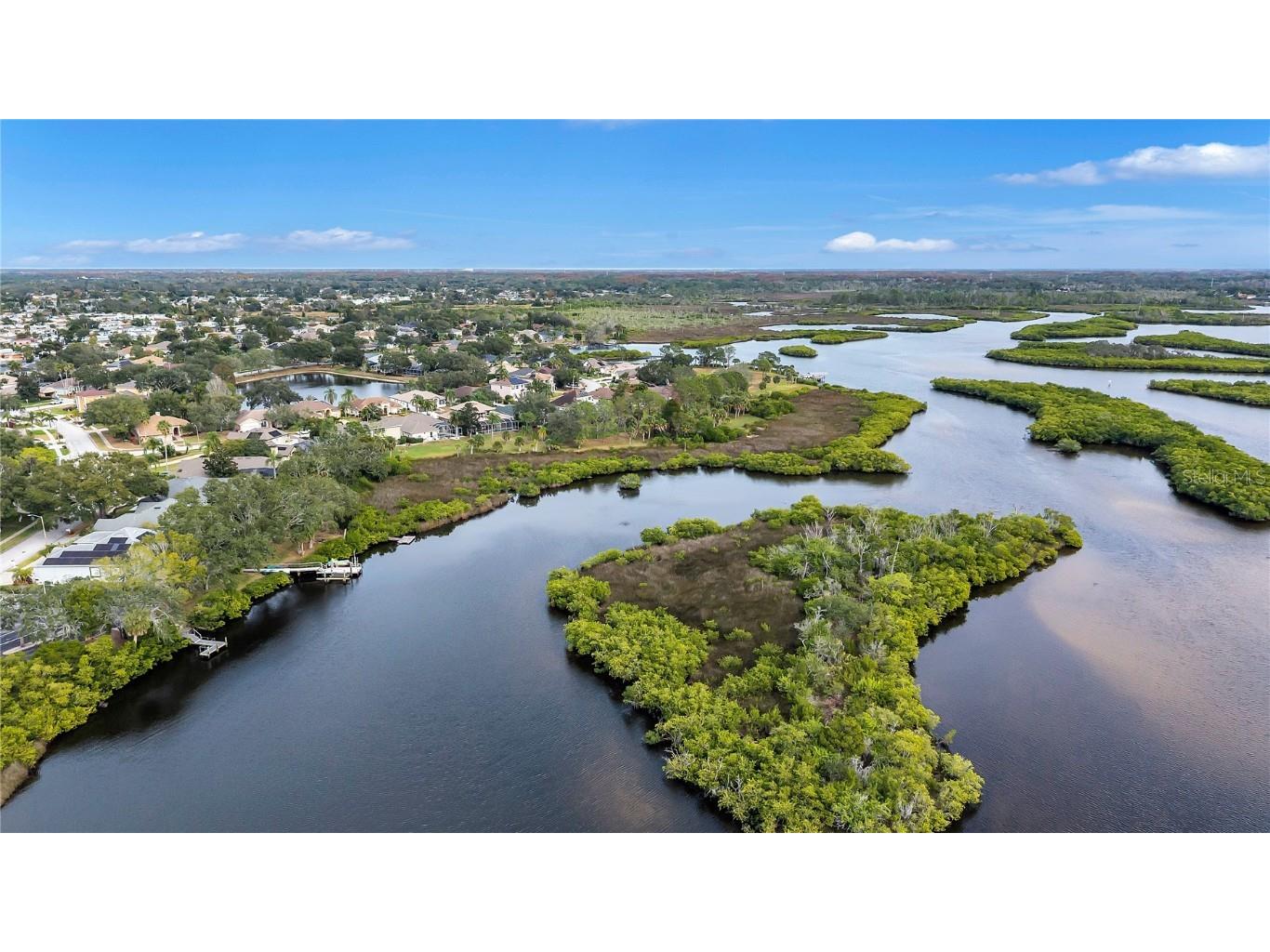 1826 River Watch Boulevard Tarpon Springs FL 34689 - ANCLOTE RIVER TB8453110 image42