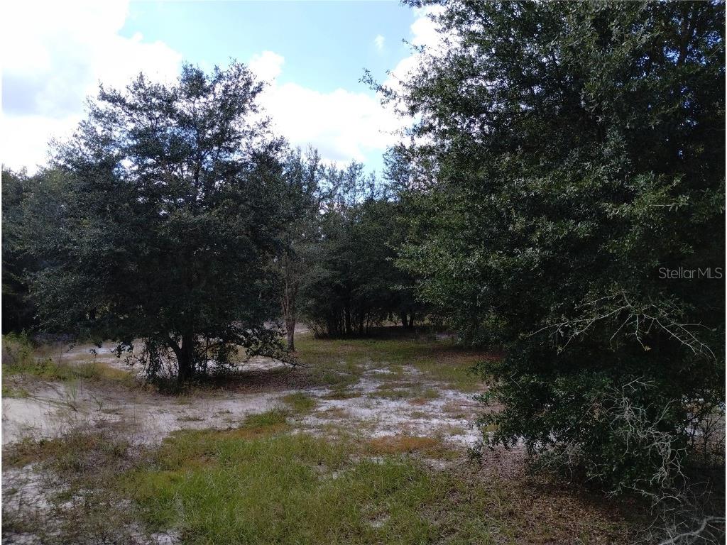 1826 SE 44th Place Bushnell FL 33513 W7880602 image10