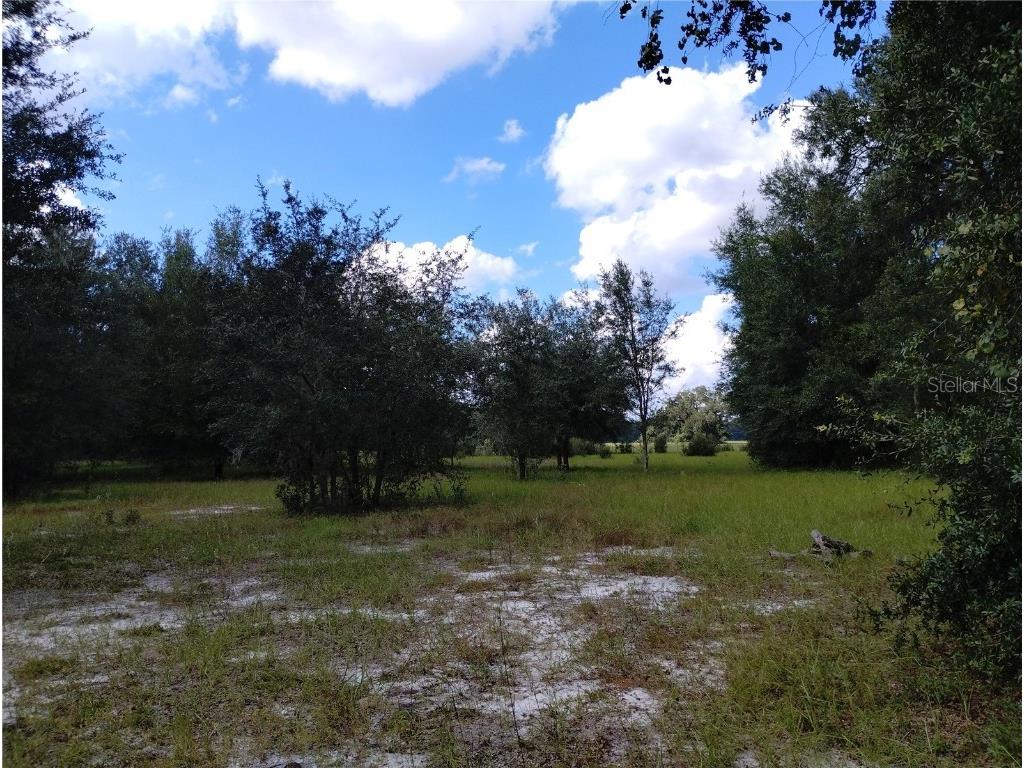 1826 SE 44th Place Bushnell FL 33513 W7880602 image11