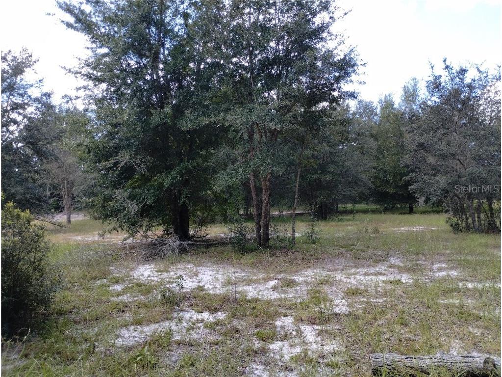 1826 SE 44th Place Bushnell FL 33513 W7880602 image12