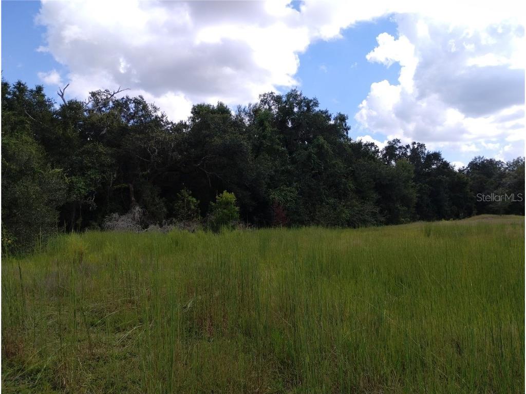 1826 SE 44th Place Bushnell FL 33513 W7880602 image13