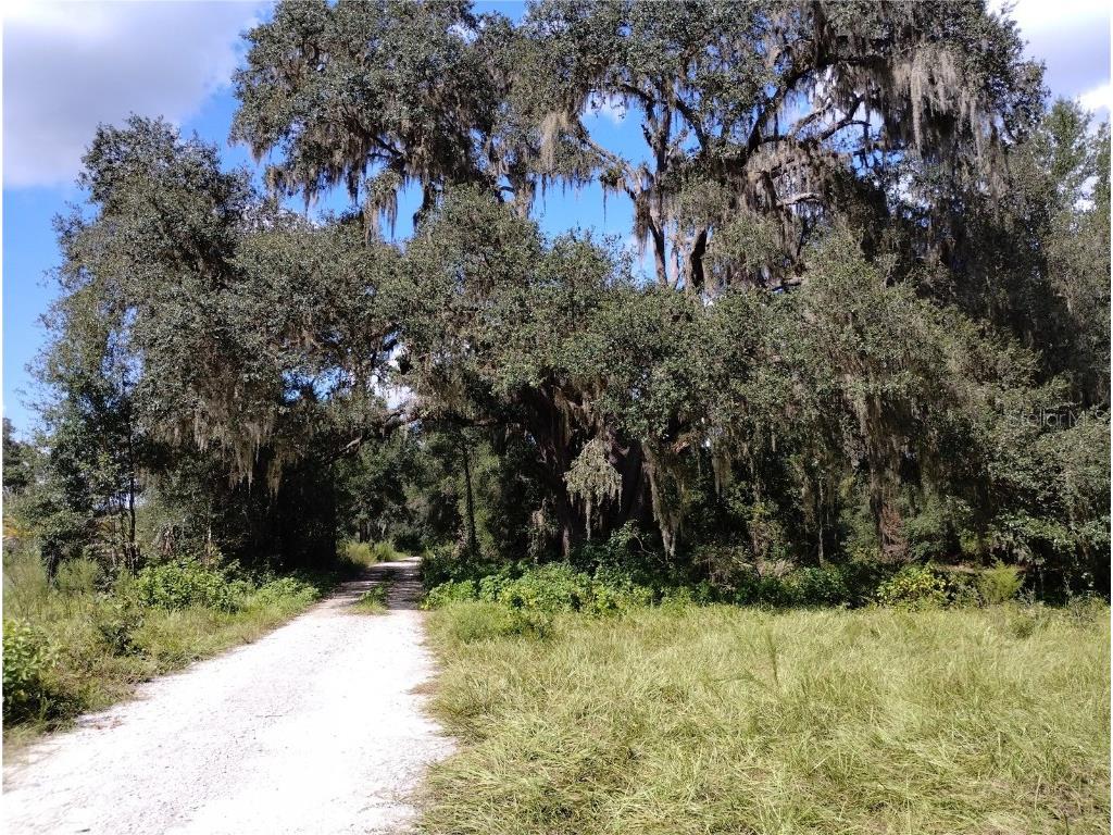 1826 SE 44th Place Bushnell FL 33513 W7880602 image3