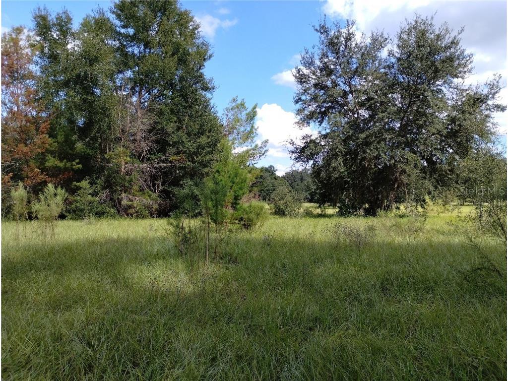 1826 SE 44th Place Bushnell FL 33513 W7880602 image5