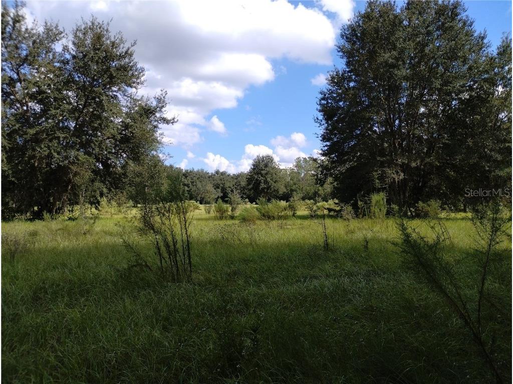 1826 SE 44th Place Bushnell FL 33513 W7880602 image6