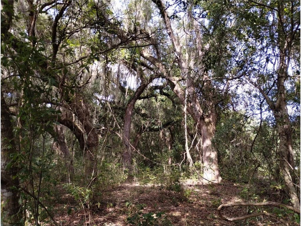 1826 SE 44th Place Bushnell FL 33513 W7880602 image7