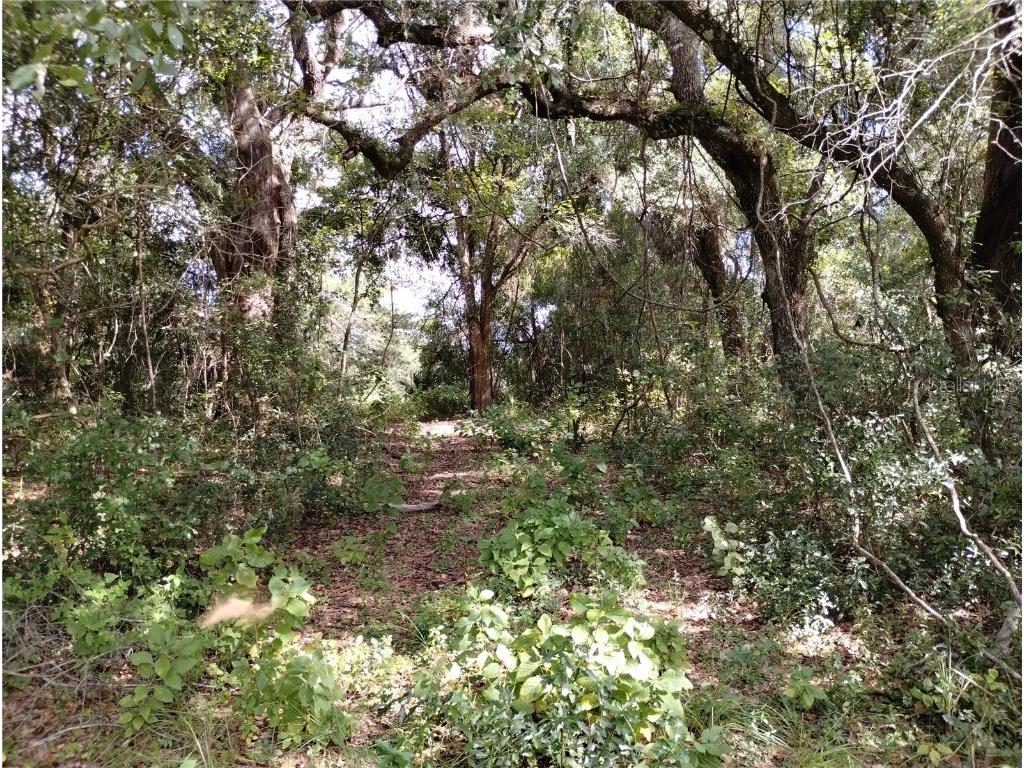 1826 SE 44th Place Bushnell FL 33513 W7880602 image8