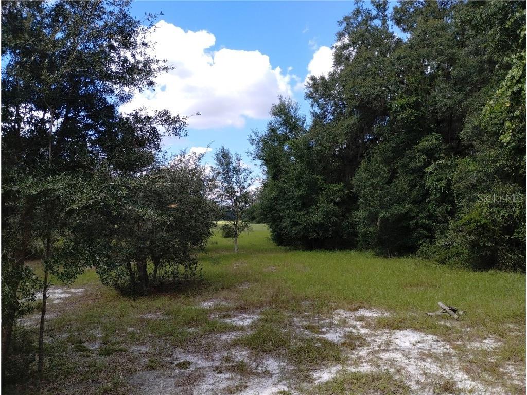 1826 SE 44th Place Bushnell FL 33513 W7880602 image9