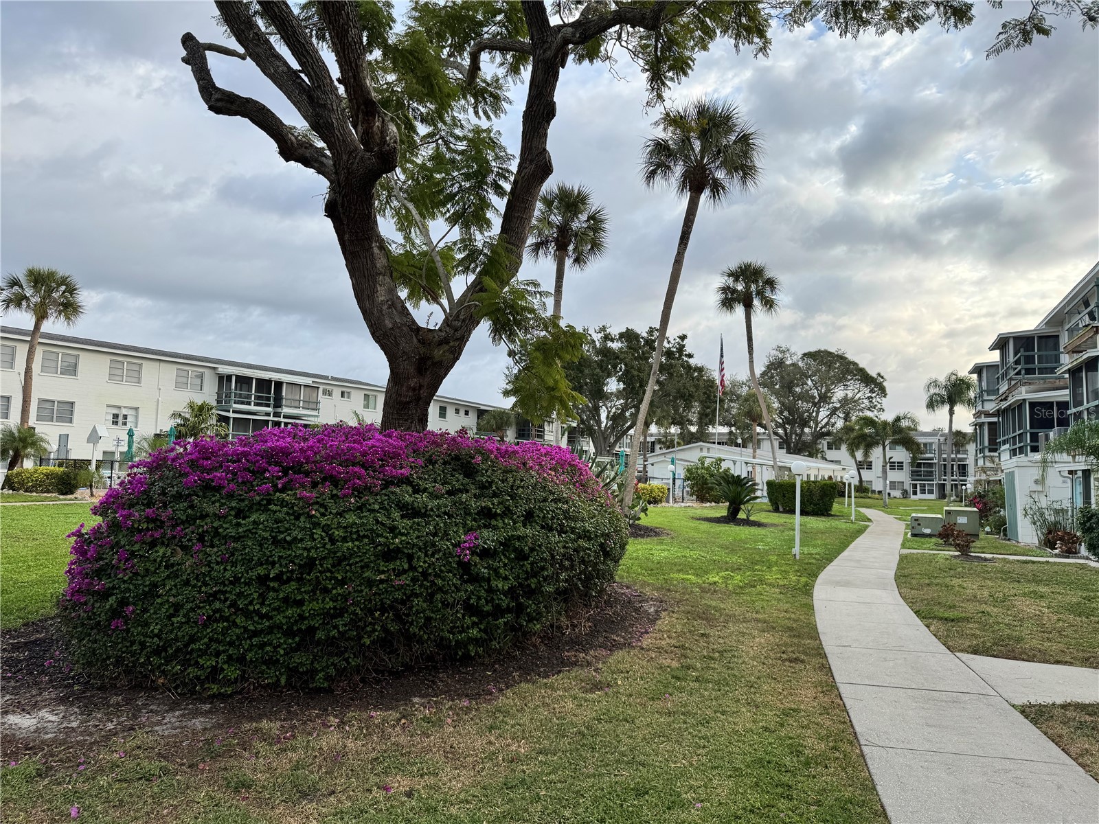 1826 Sunny Drive #D26 Bradenton FL 34207 TB8463301 image25