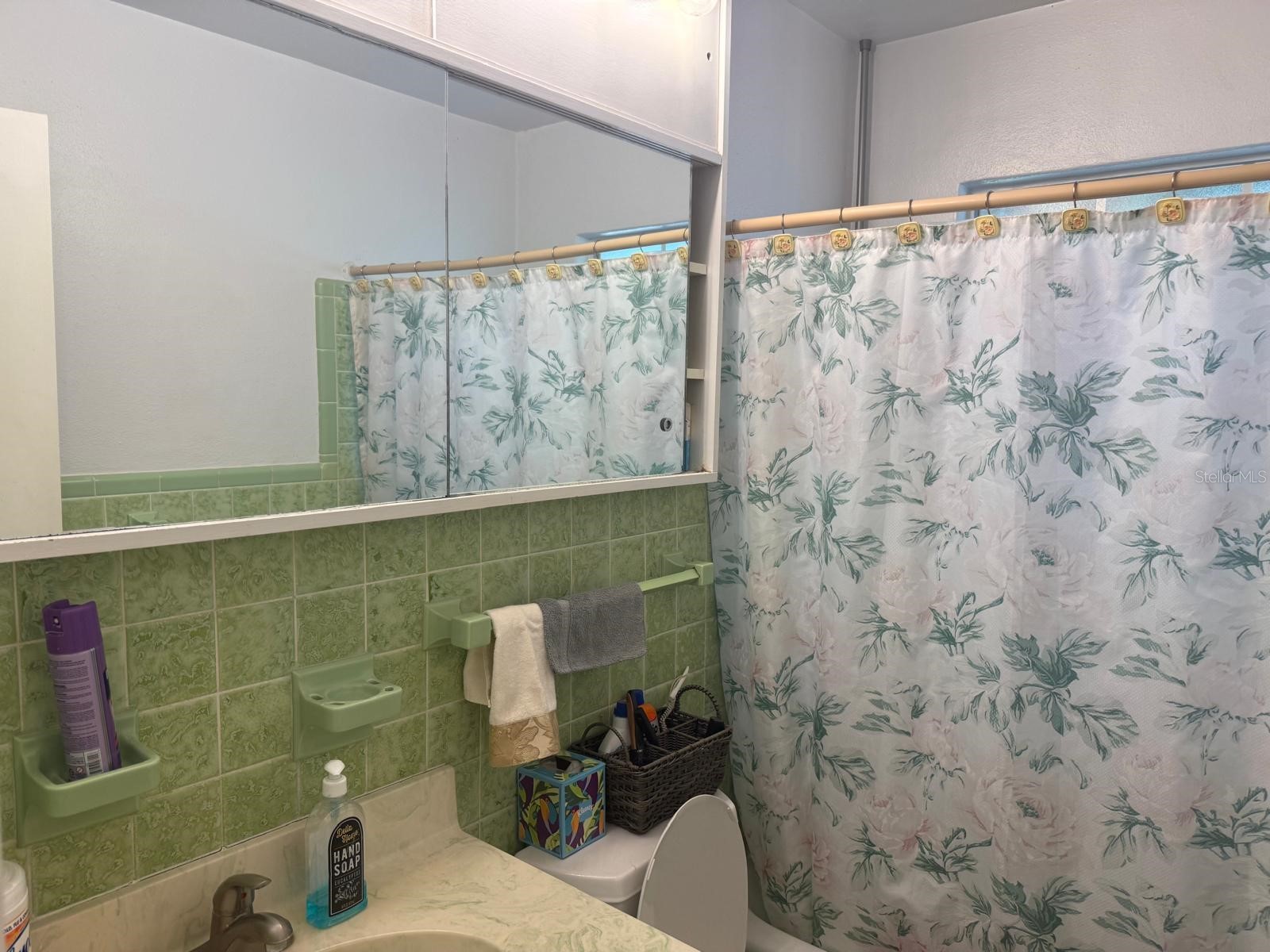 1827 Alta Vista Street Sarasota FL 34236 N6144152 image6