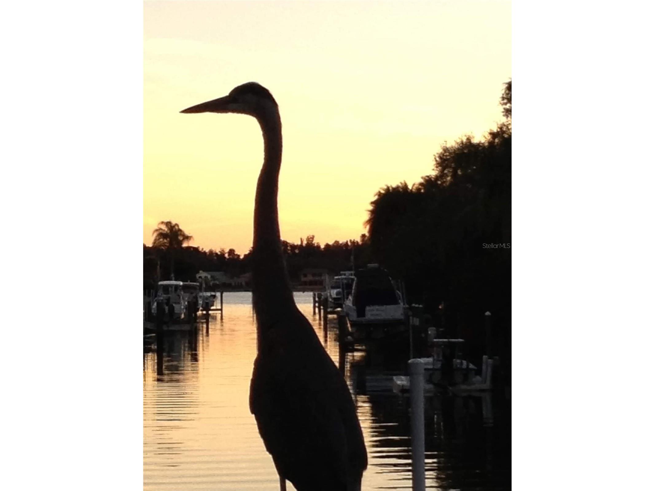 1827 Baywood Drive Sarasota FL 34231 - SARASOTA BAY A4633672 image53