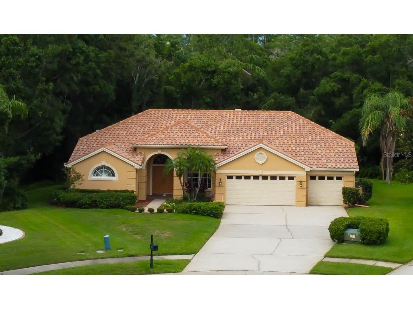 1827 Foxboro Court Oldsmar FL 34677 TB8400428 image1