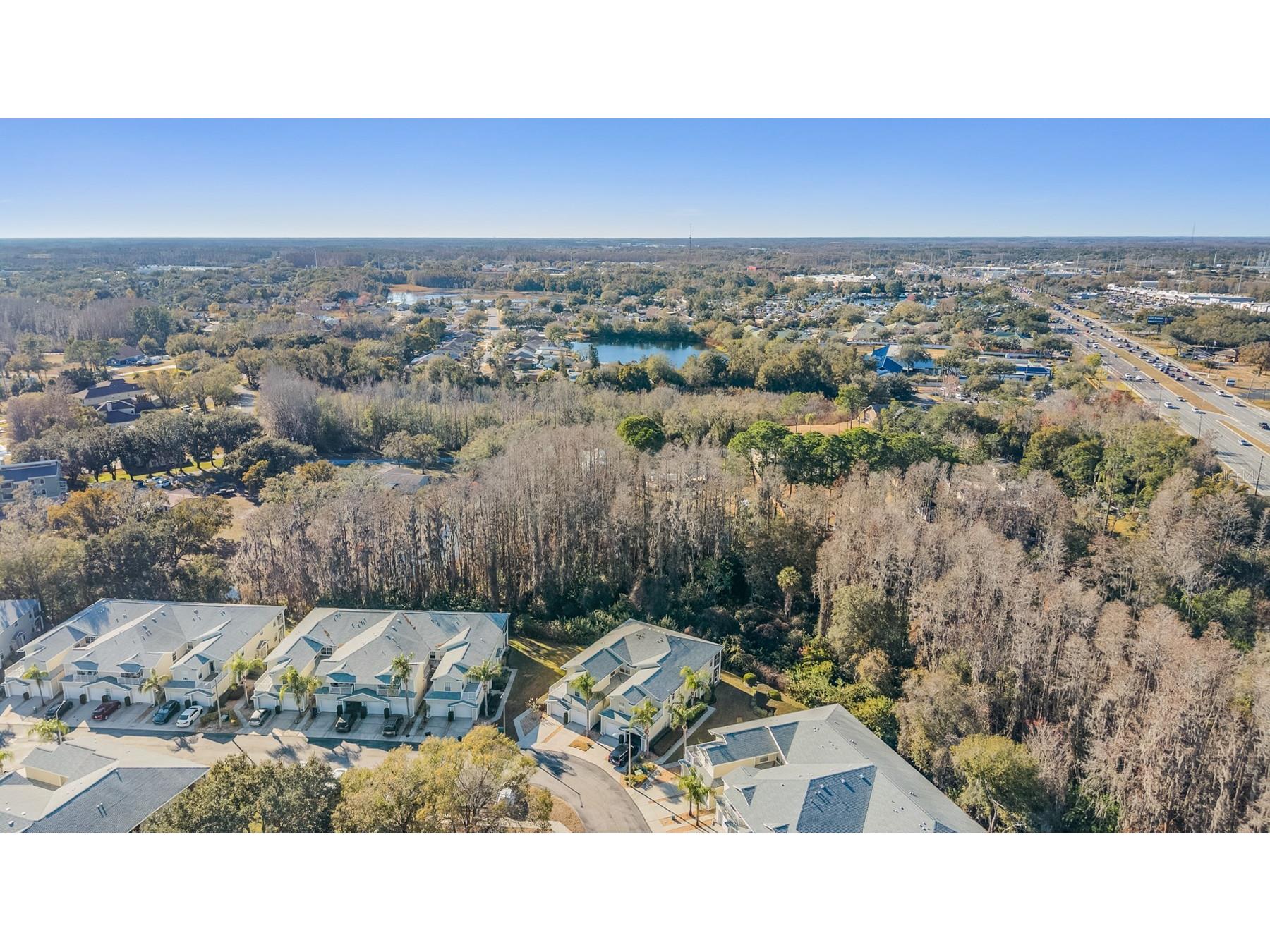 1827 Hammocks Avenue #1827 Lutz FL 33549 TB8474741 image27