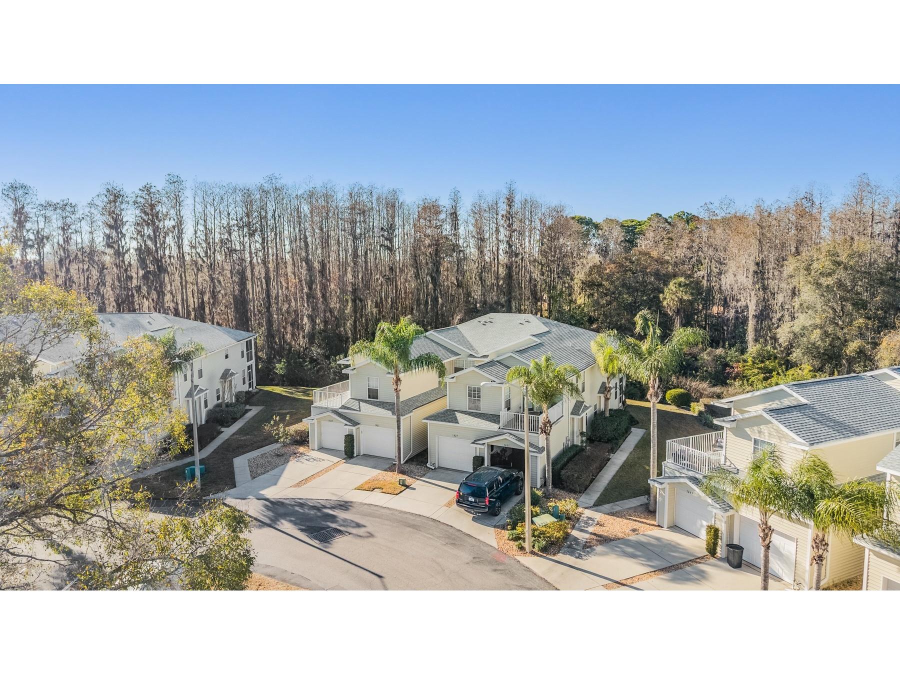 1827 Hammocks Avenue #1827 Lutz FL 33549 TB8474741 image33