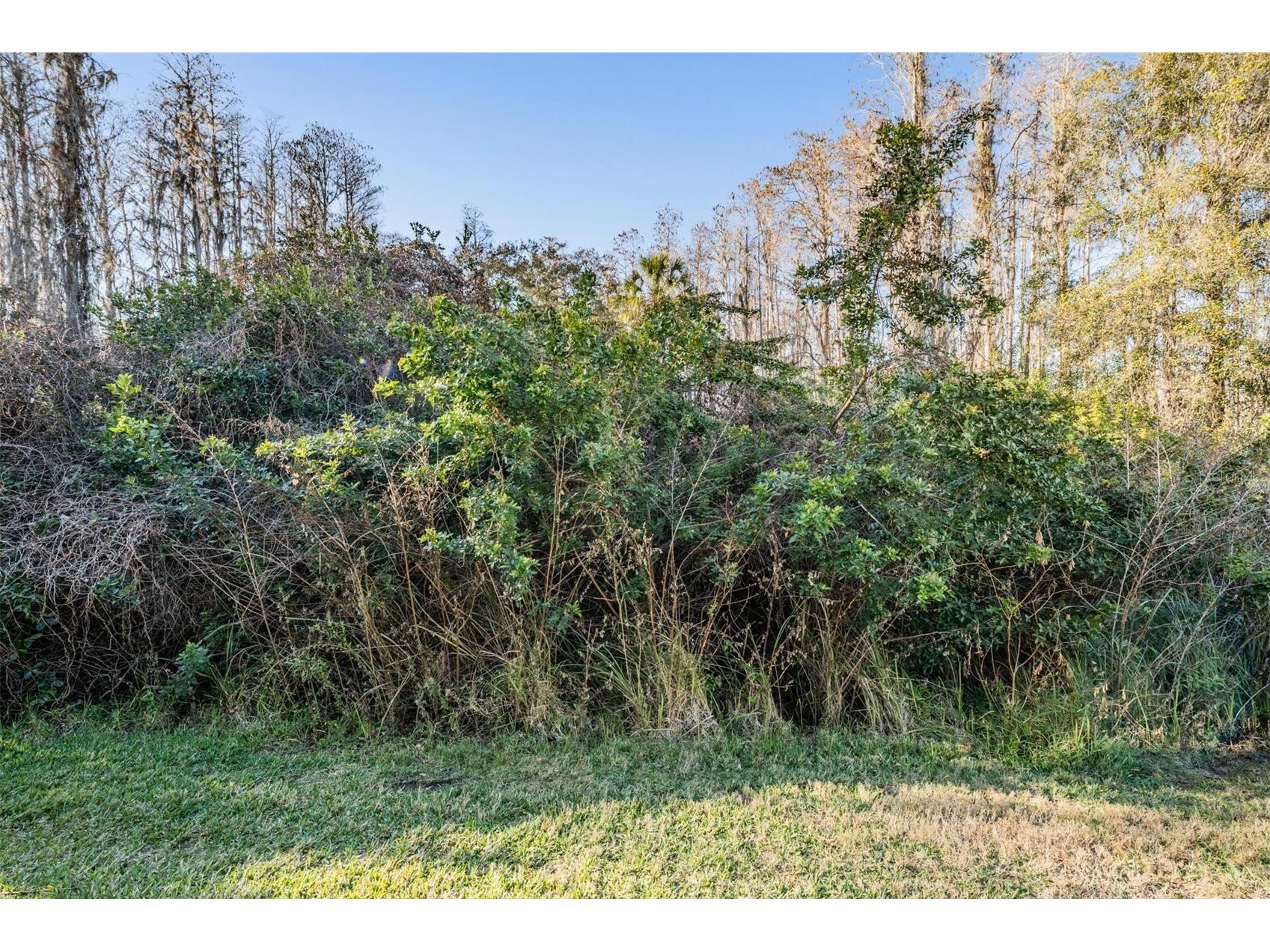 1827 Hammocks Avenue #1827 Lutz FL 33549 TB8489092 image29
