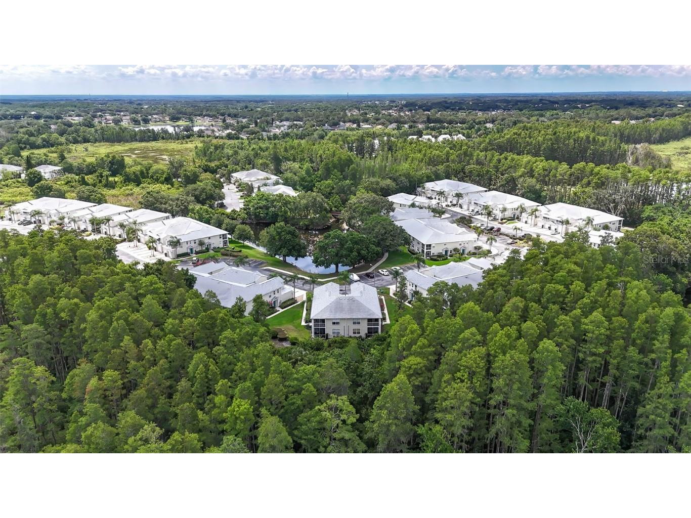 1827 Hammocks Avenue Lutz FL 33549 - LAKE BIRD TB8392988 image1