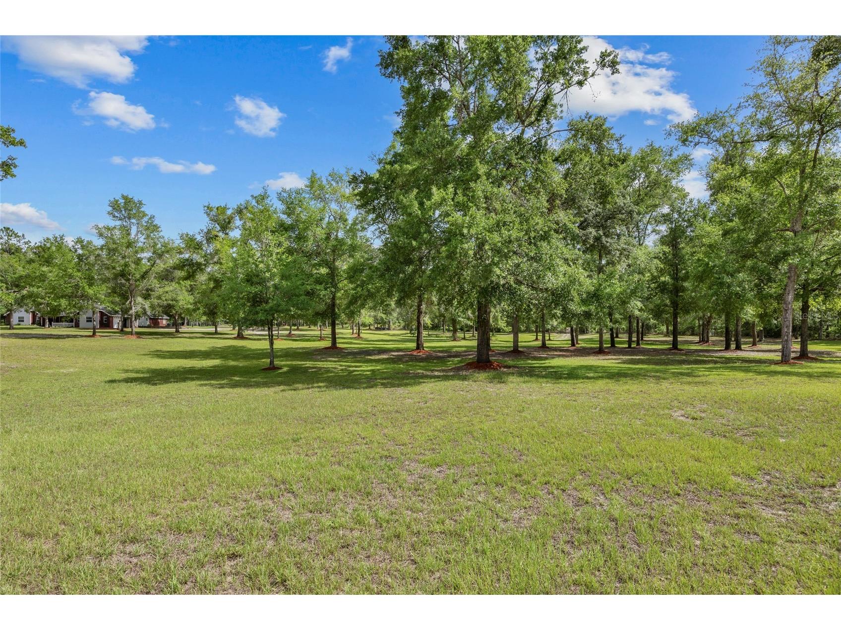1827 SW Shiloh Street Fort White FL 32038 GC531577 image4