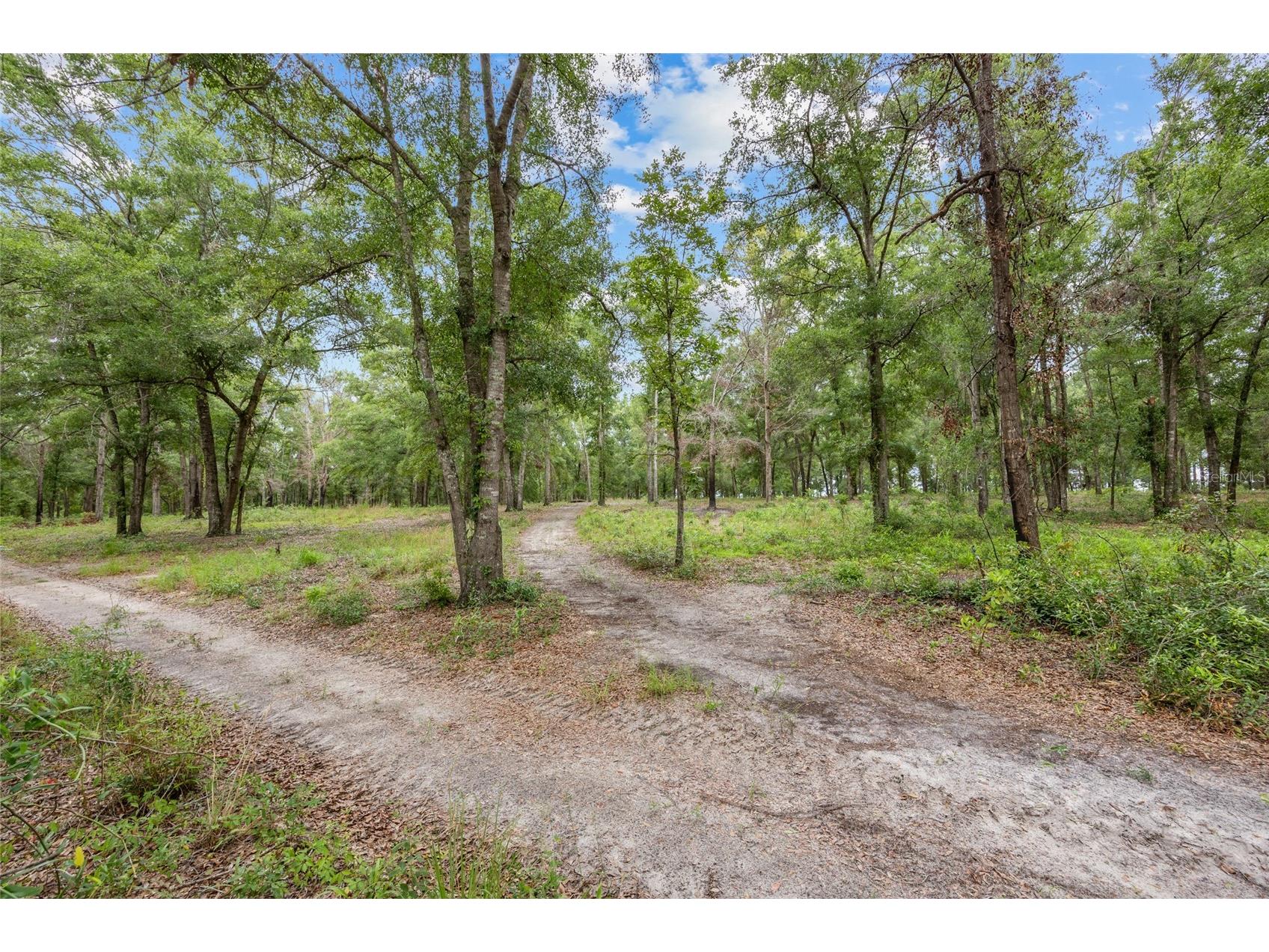 1827 SW Shiloh Street Fort White FL 32038 GC531577 image47
