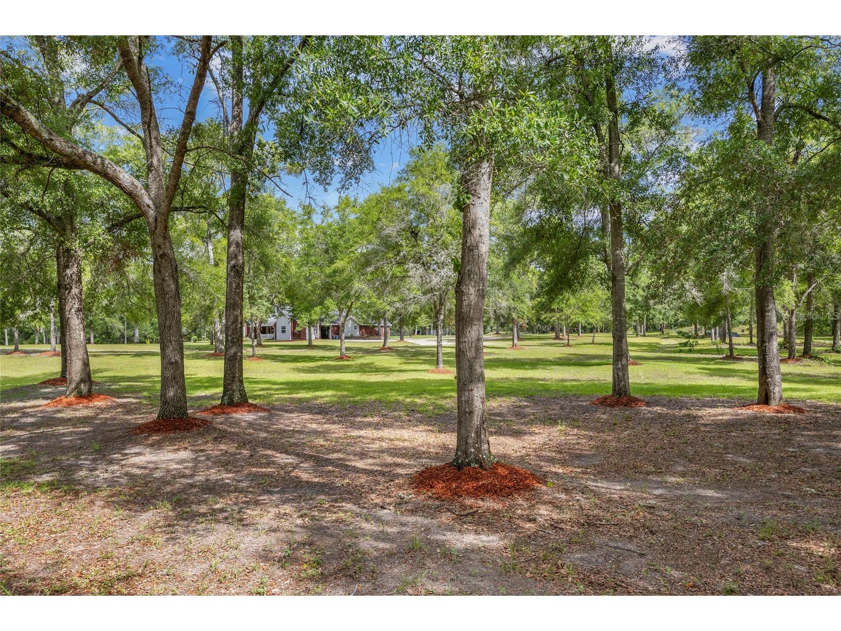 1827 SW Shiloh Street Fort White FL 32038 GC531577 image7