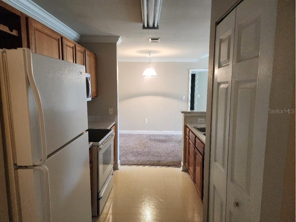 18271 Bridle Club Drive #18271 Tampa FL 33647 TB8427652 image10