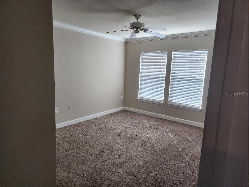 18271 Bridle Club Drive #18271 Tampa FL 33647 TB8427652 image14