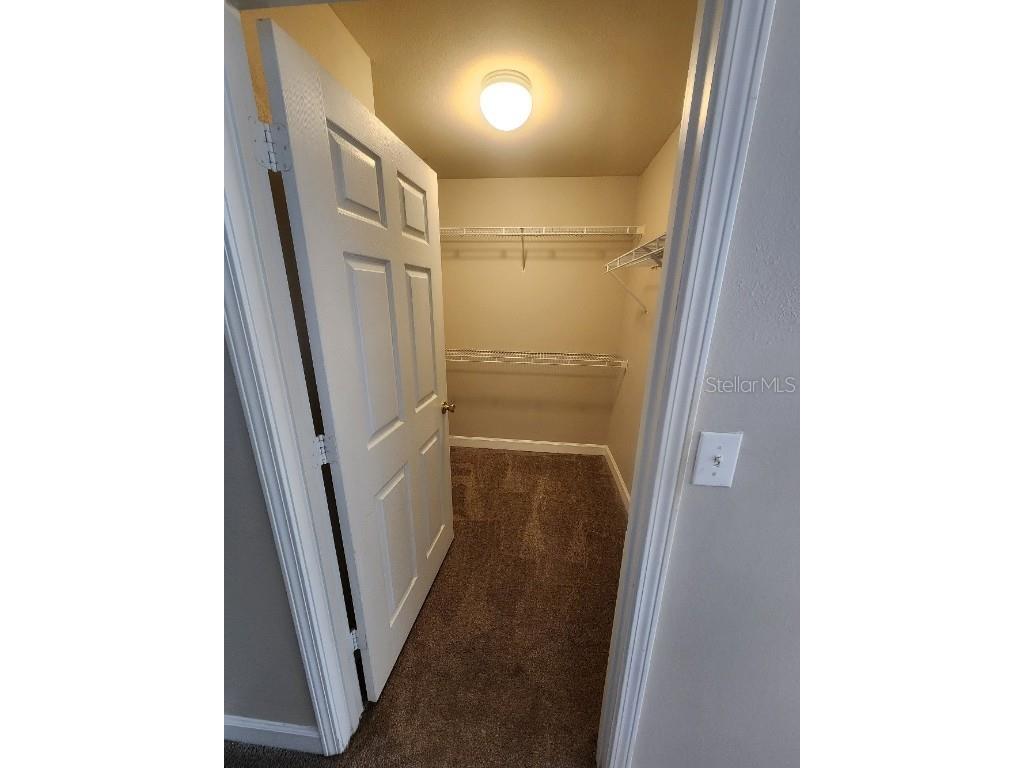 18271 Bridle Club Drive #18271 Tampa FL 33647 TB8427652 image17