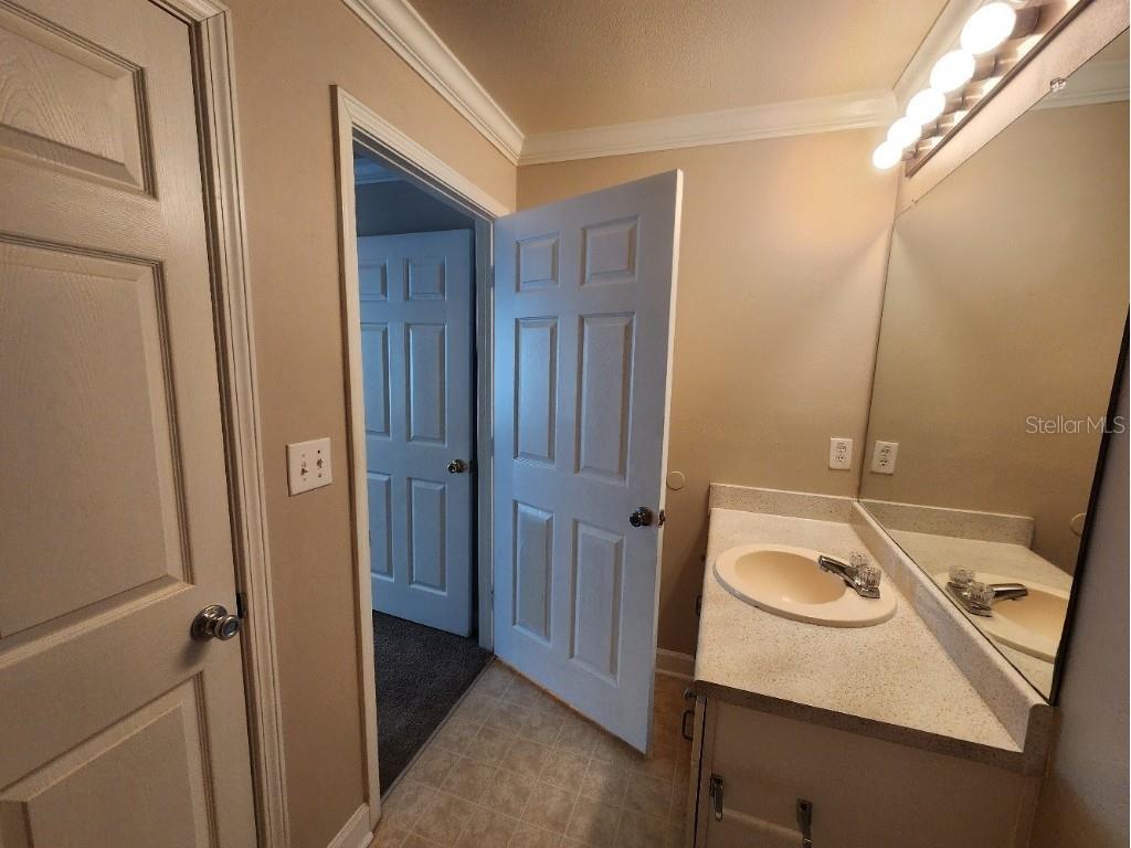 18271 Bridle Club Drive #18271 Tampa FL 33647 TB8427652 image19