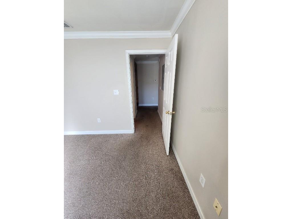 18271 Bridle Club Drive #18271 Tampa FL 33647 TB8427652 image22
