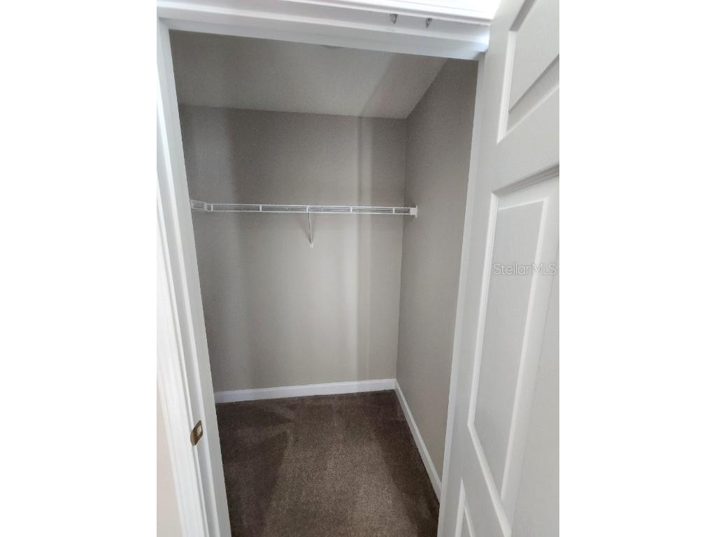 18271 Bridle Club Drive #18271 Tampa FL 33647 TB8427652 image23