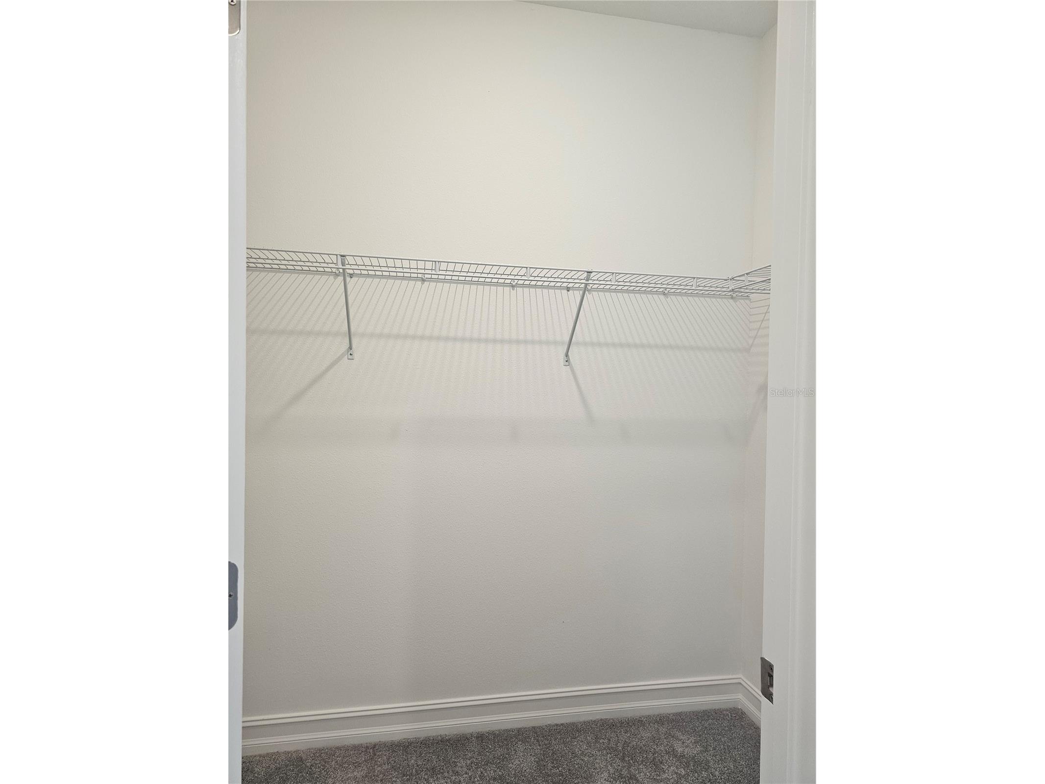 18271 Pearl View Place Lutz FL 33548 TB8494105 image22