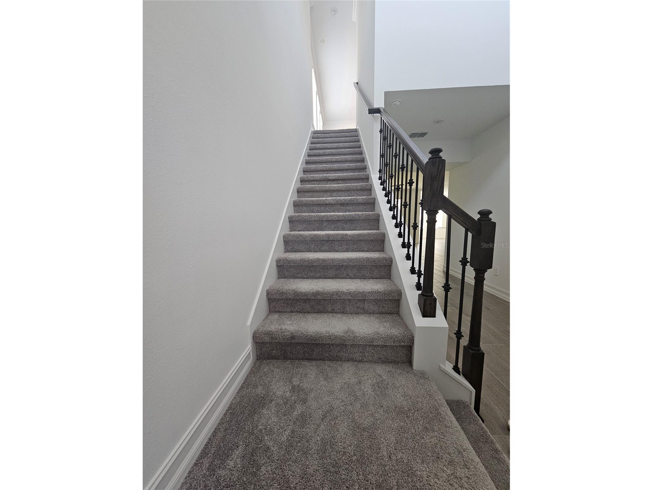 18271 Pearl View Place Lutz FL 33548 TB8494105 image23