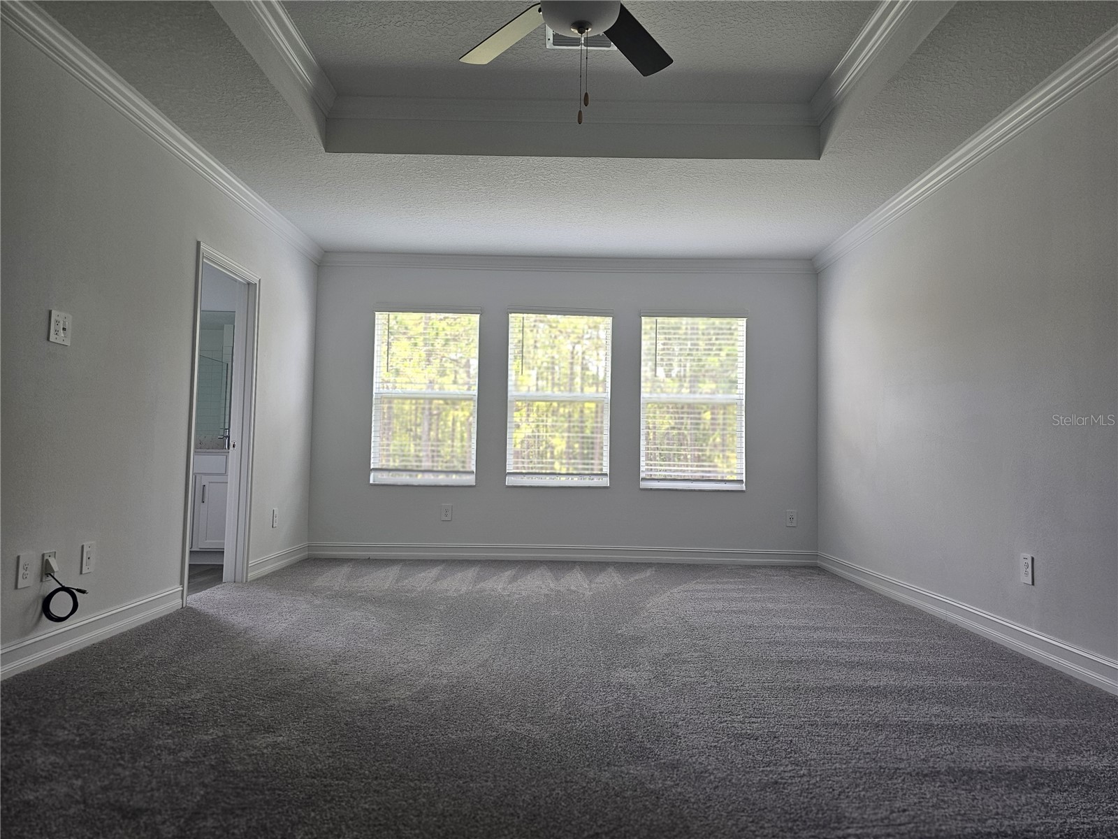 18271 Pearl View Place Lutz FL 33548 TB8494105 image32