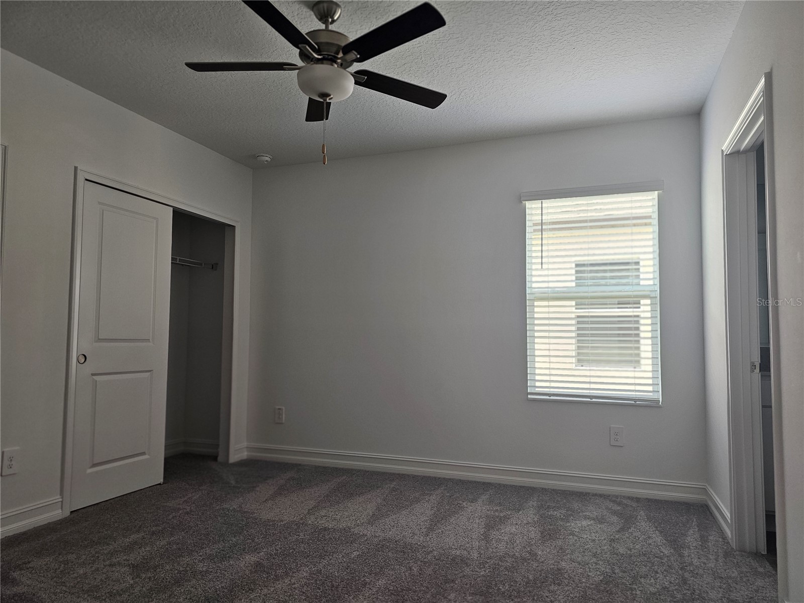 18271 Pearl View Place Lutz FL 33548 TB8494105 image38