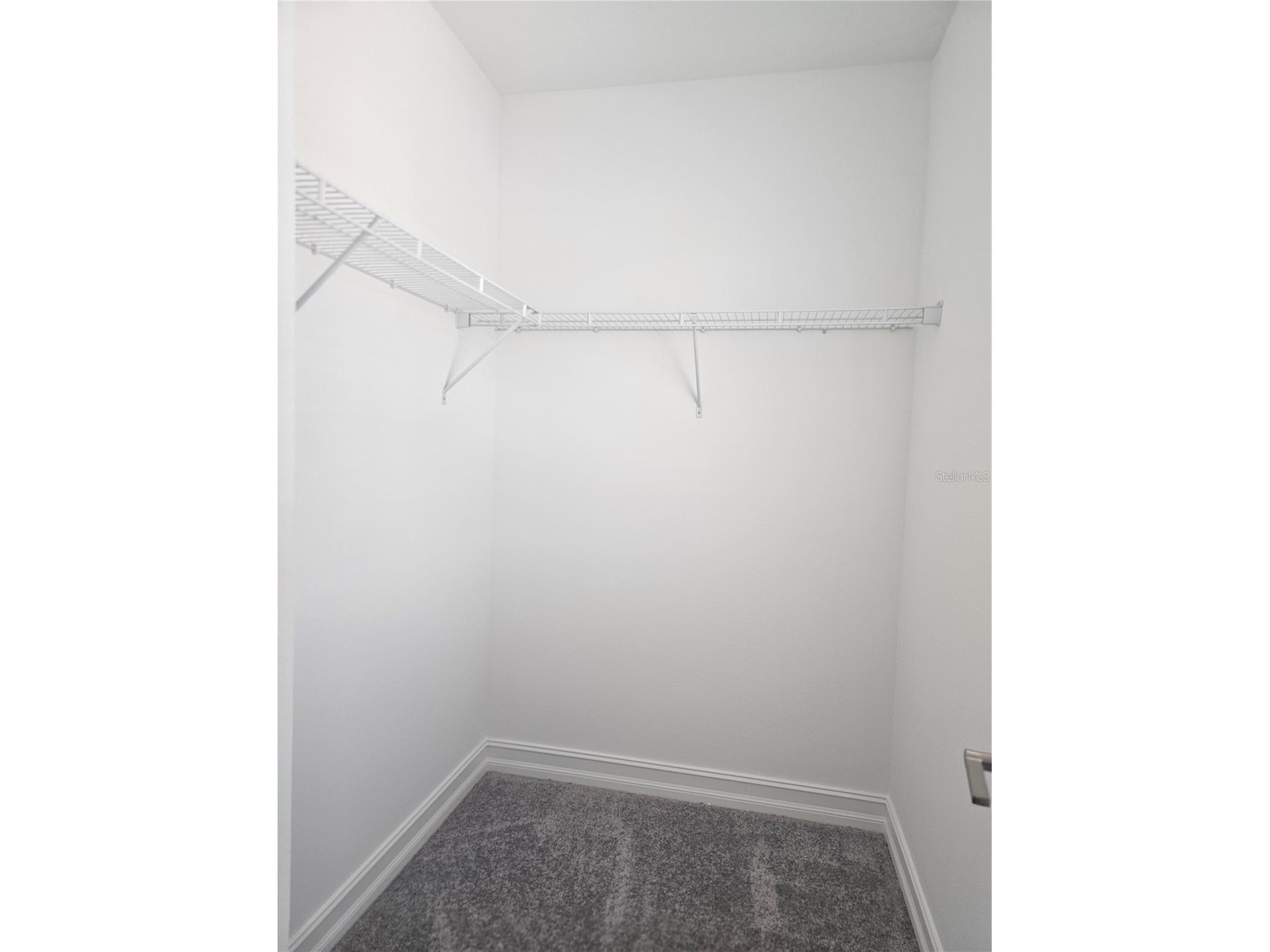 18271 Pearl View Place Lutz FL 33548 TB8494105 image40