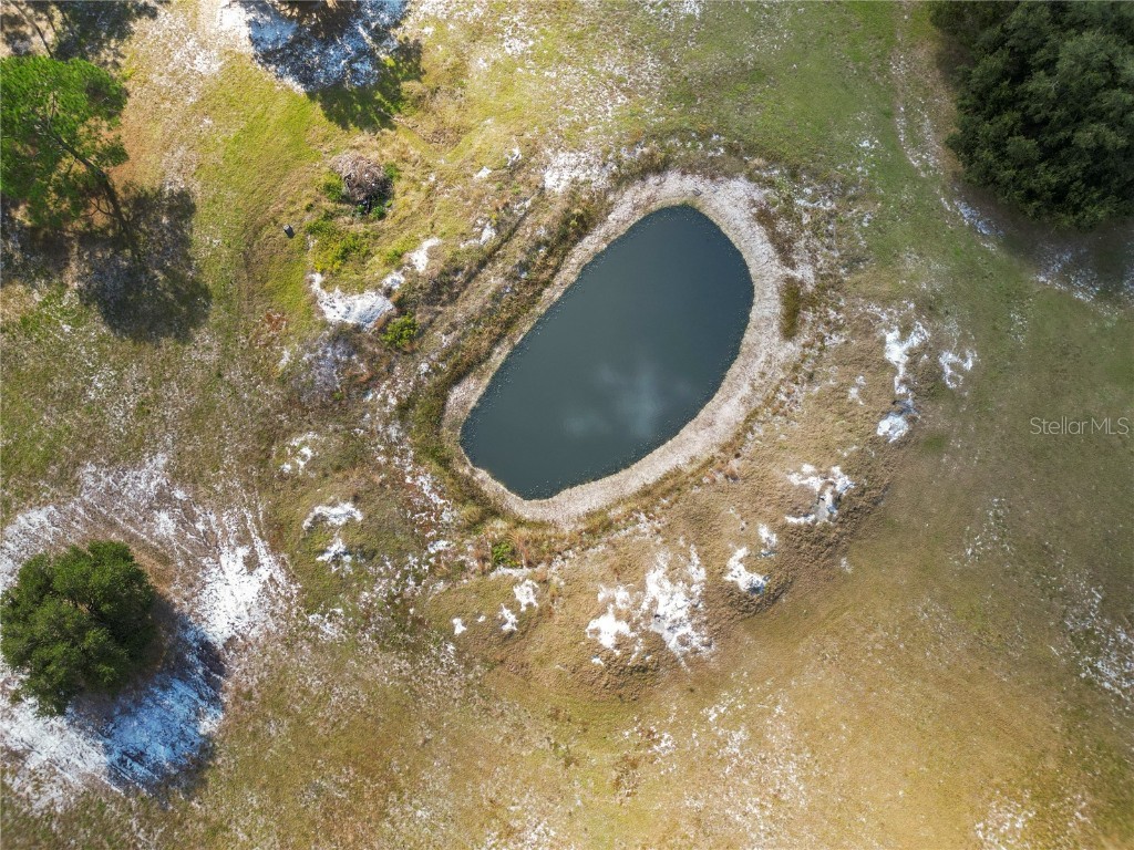 1828 Gator Creek Ranch Road Lakeland FL 33809 L4957285 image19