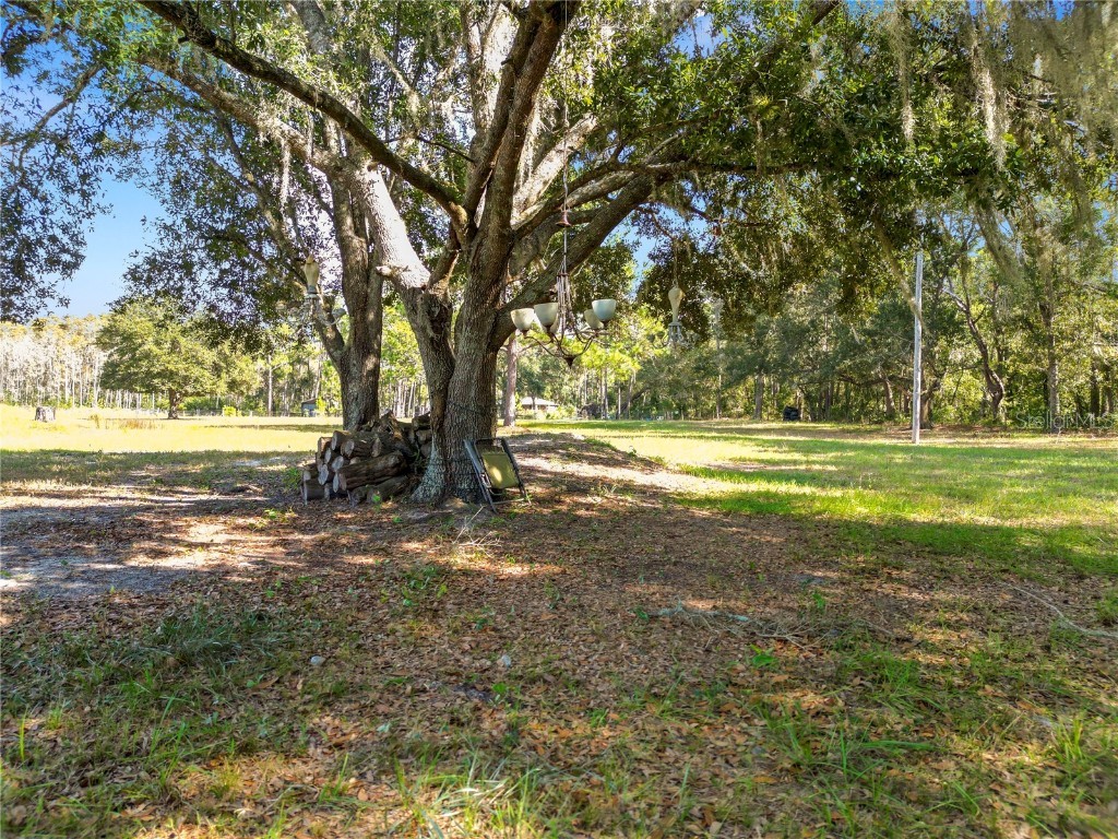 1828 Gator Creek Ranch Road Lakeland FL 33809 L4957285 image25