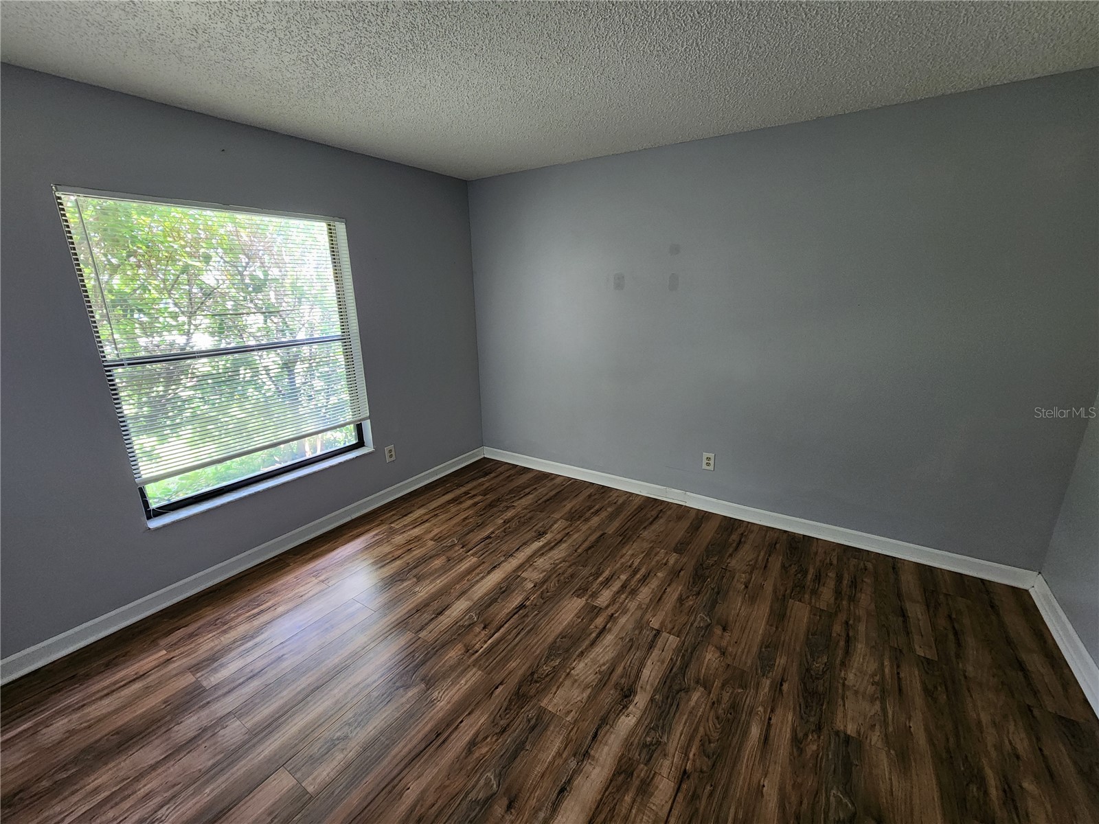1828 Kumquat Drive Edgewater FL 32132 NS1088648 image14
