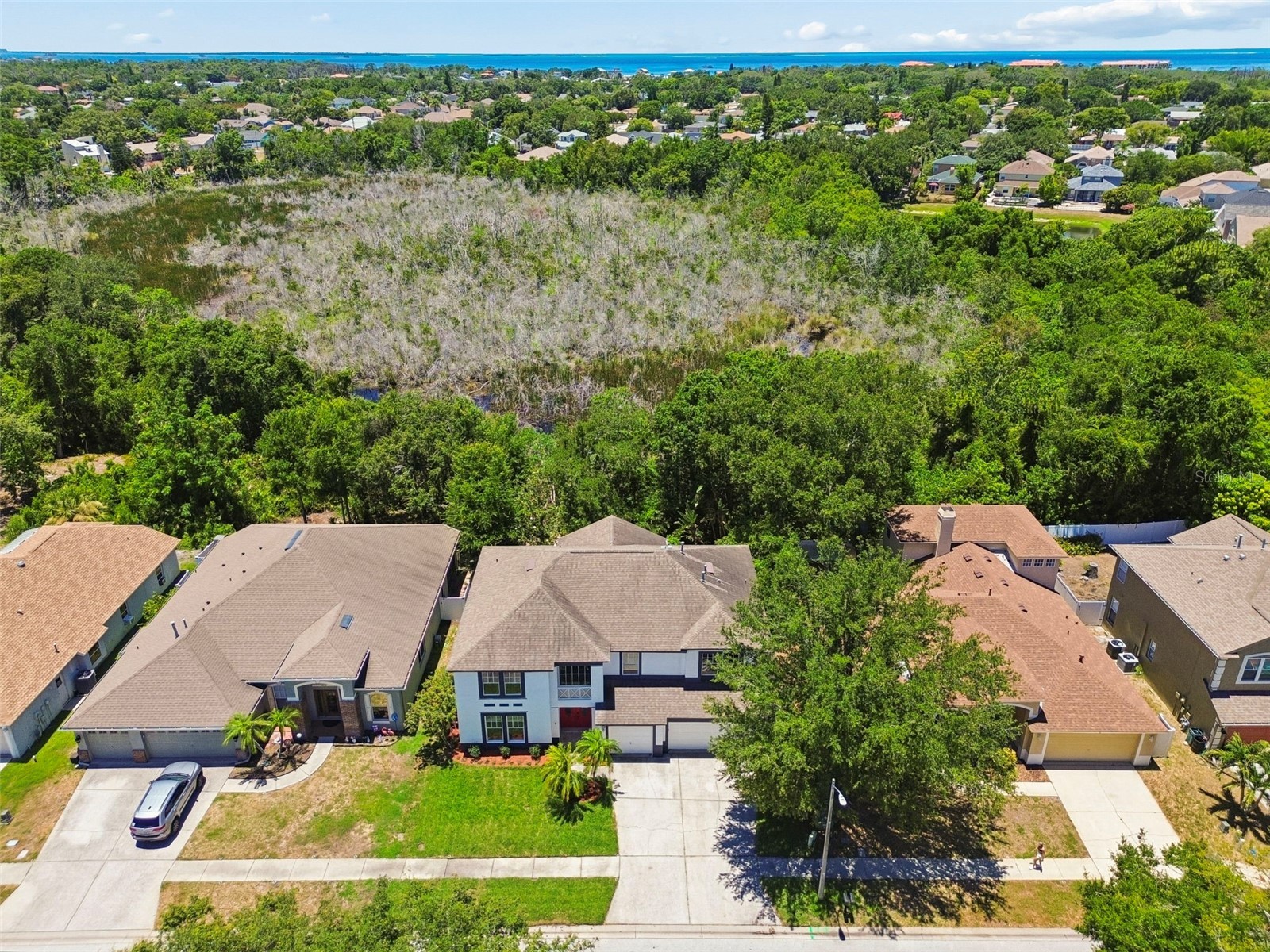 1828 Longview Lane Tarpon Springs FL 34689 TB8465717 image3