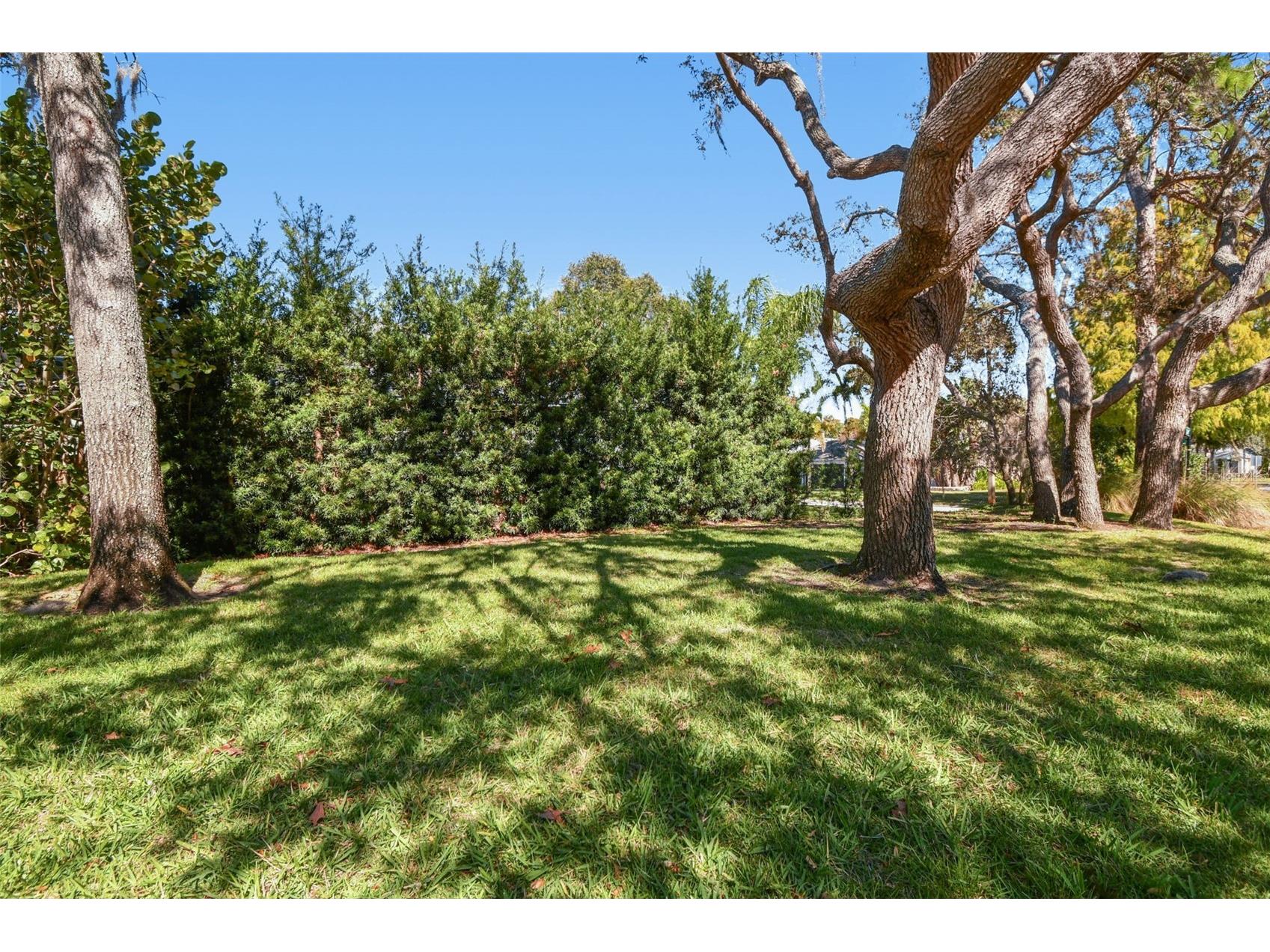1828 Longview Lane Tarpon Springs FL 34689 TB8465717 image67