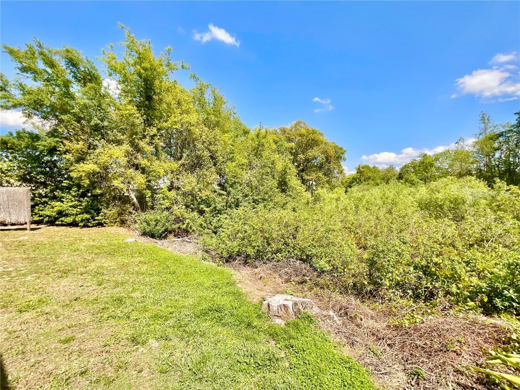 1828 Osprey Lane Lutz FL 33549 TB8457497 image25