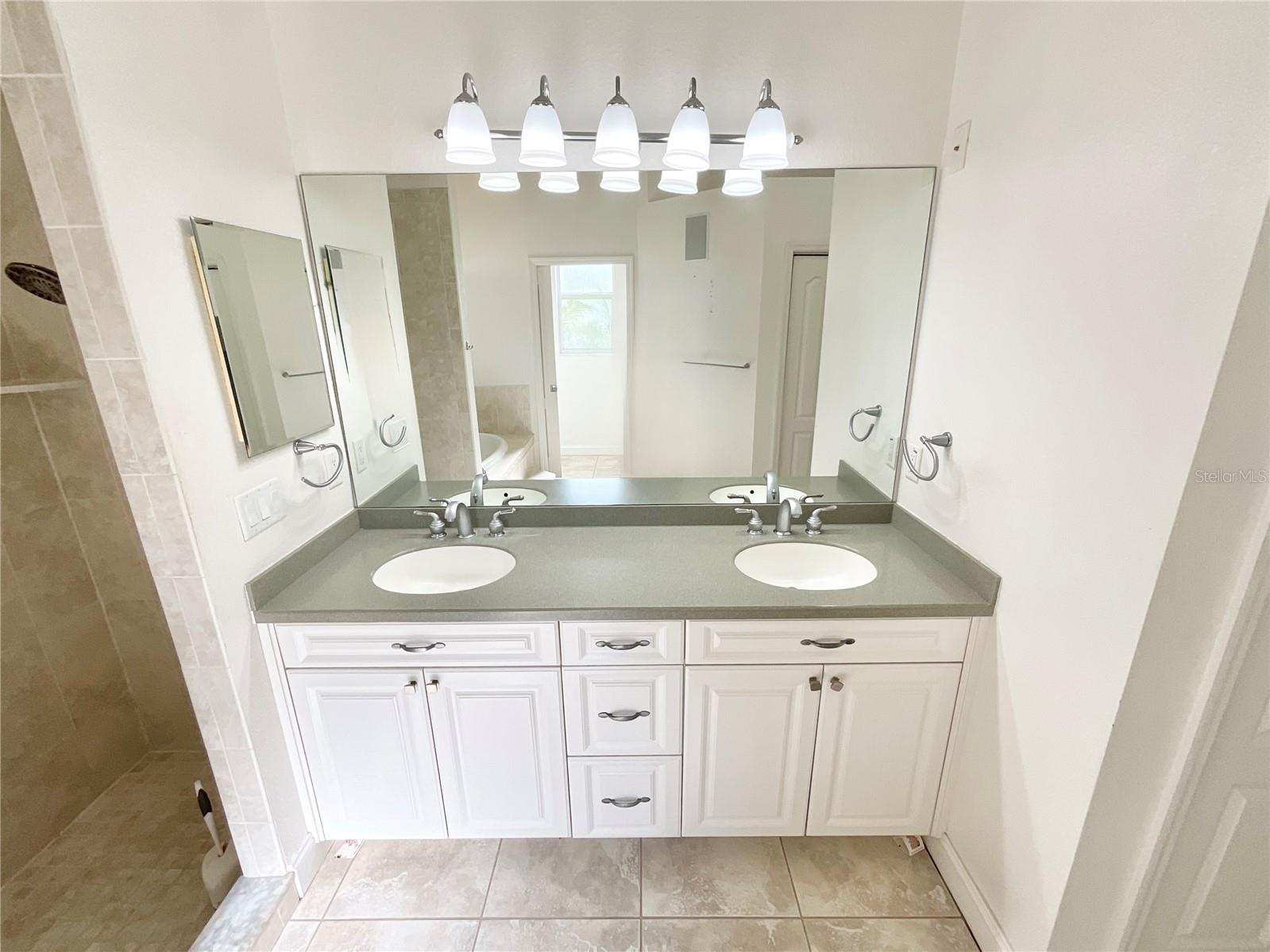 1828 Osprey Lane Lutz FL 33549 TB8494378 image11