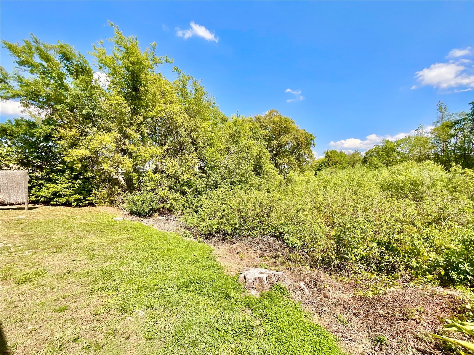 1828 Osprey Lane Lutz FL 33549 TB8494378 image25