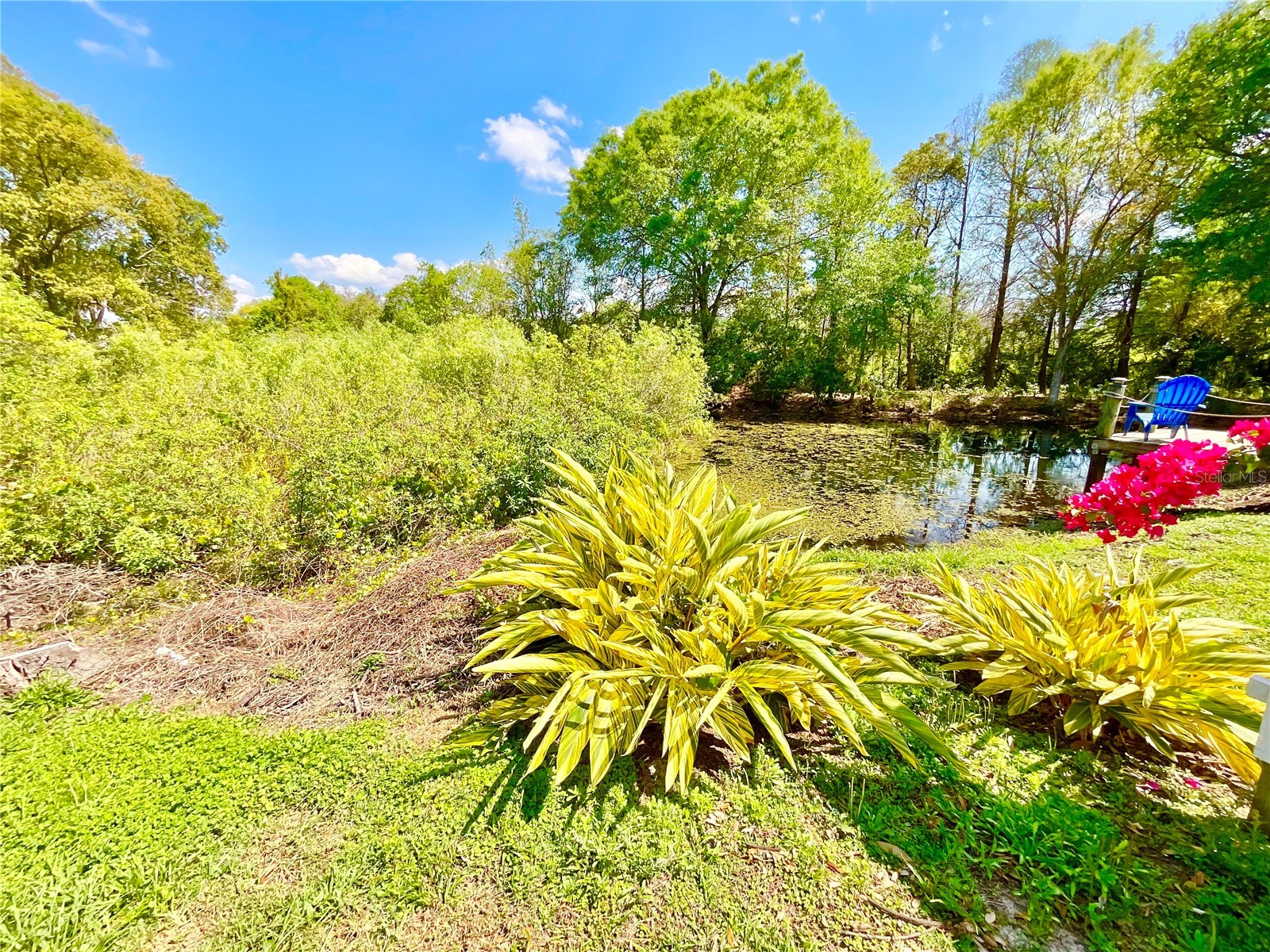 1828 Osprey Lane Lutz FL 33549 TB8494378 image26