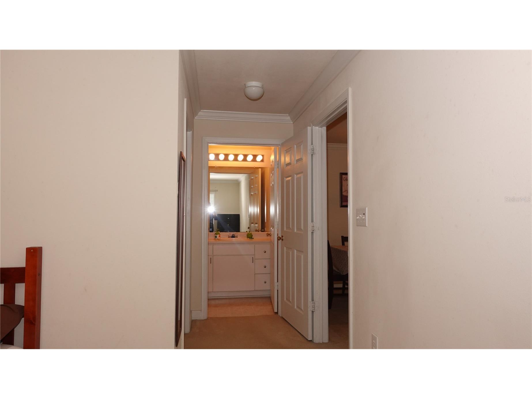 18281 Bridle Club Drive Tampa FL 33647 TB8488932 image13