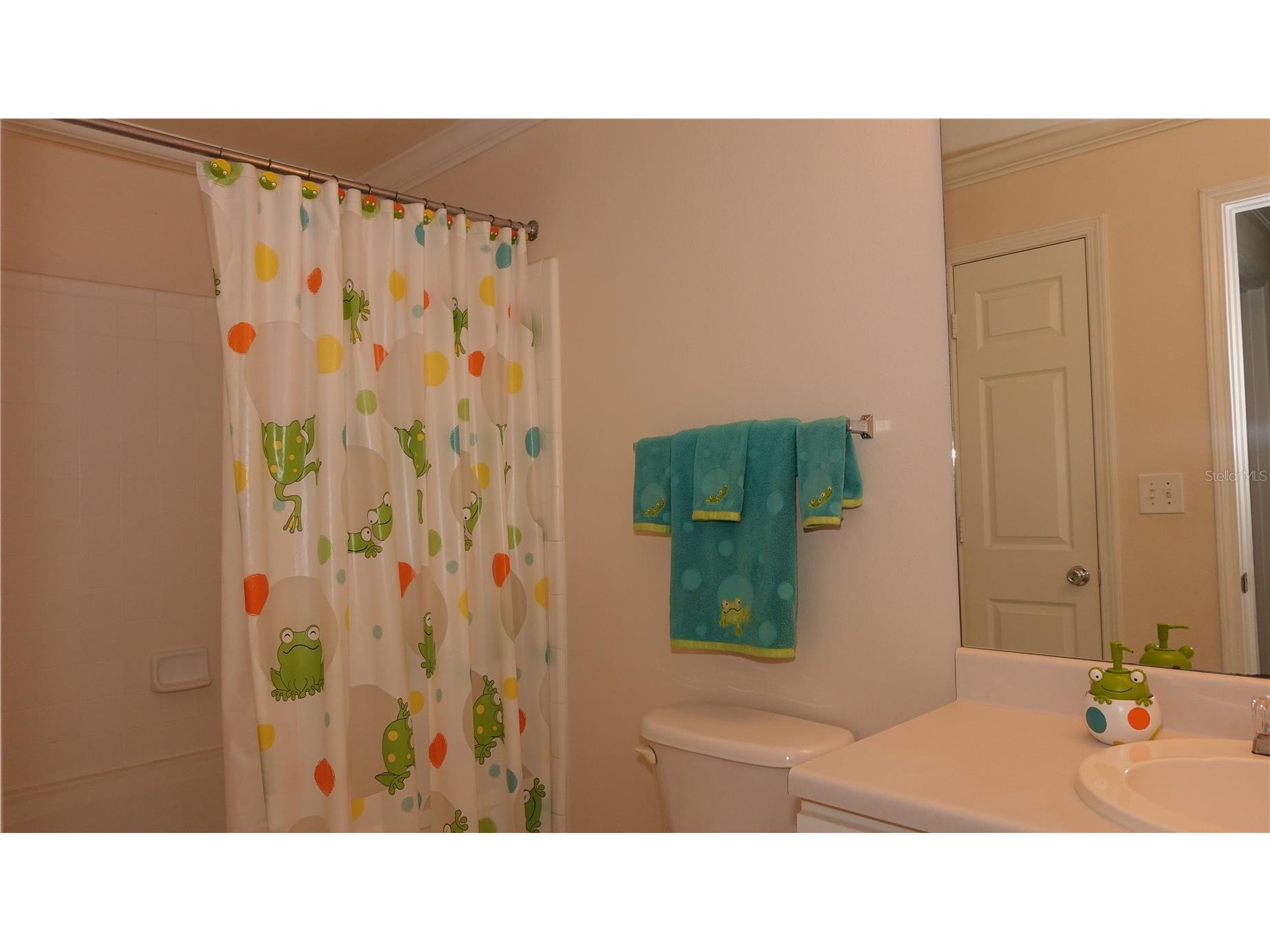 18281 Bridle Club Drive Tampa FL 33647 TB8488932 image14
